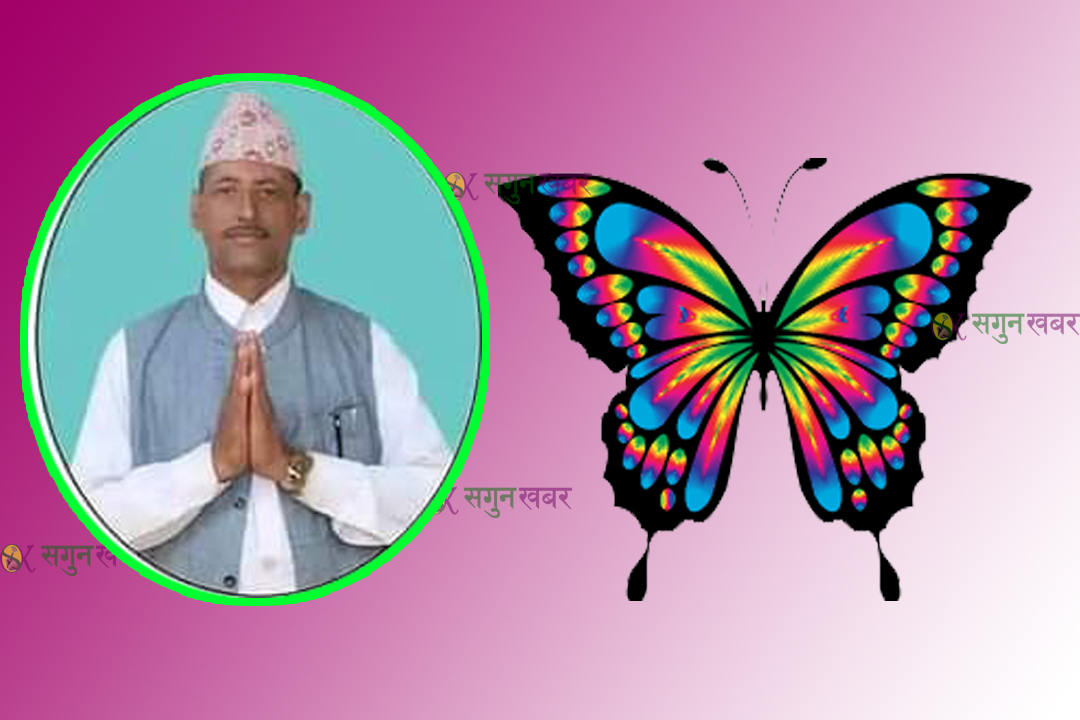 बैतडीको डिलाशैनीमा स्वतन्त्रको विजयी सुरुवात, वडा नं ४ मा  पन्त प्यानल सहित  विजयी